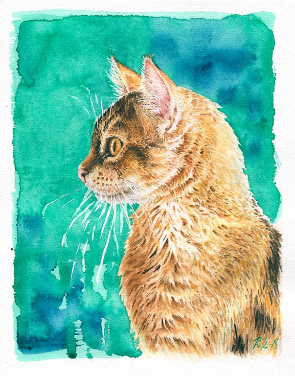 Akvarellimuotokuva kissasta